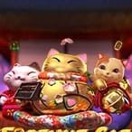 Fortune cat